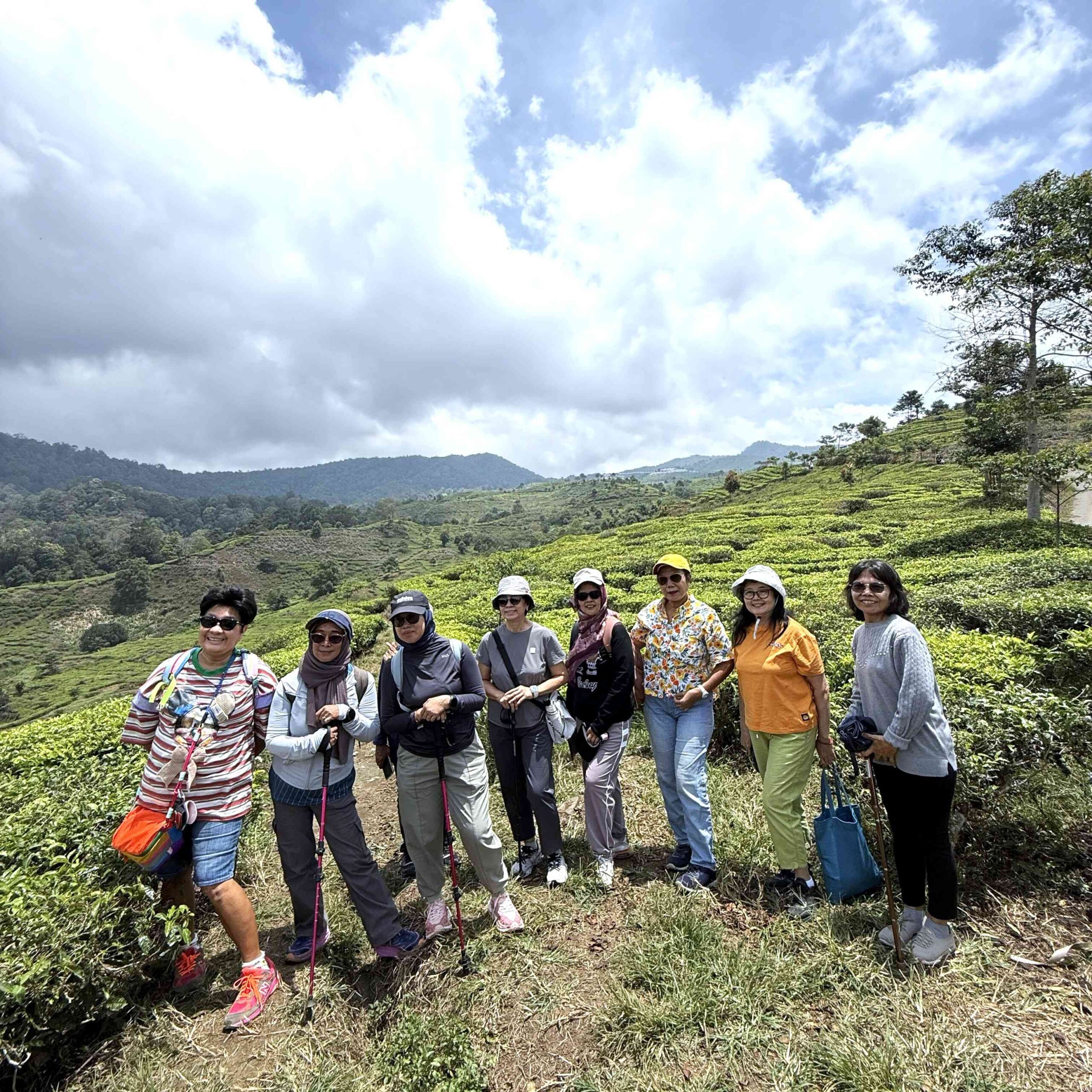 Menemukan Kedamaian di Desa Malasari: Pelarian Sempurna ke "Negeri di Balik Kabut"
